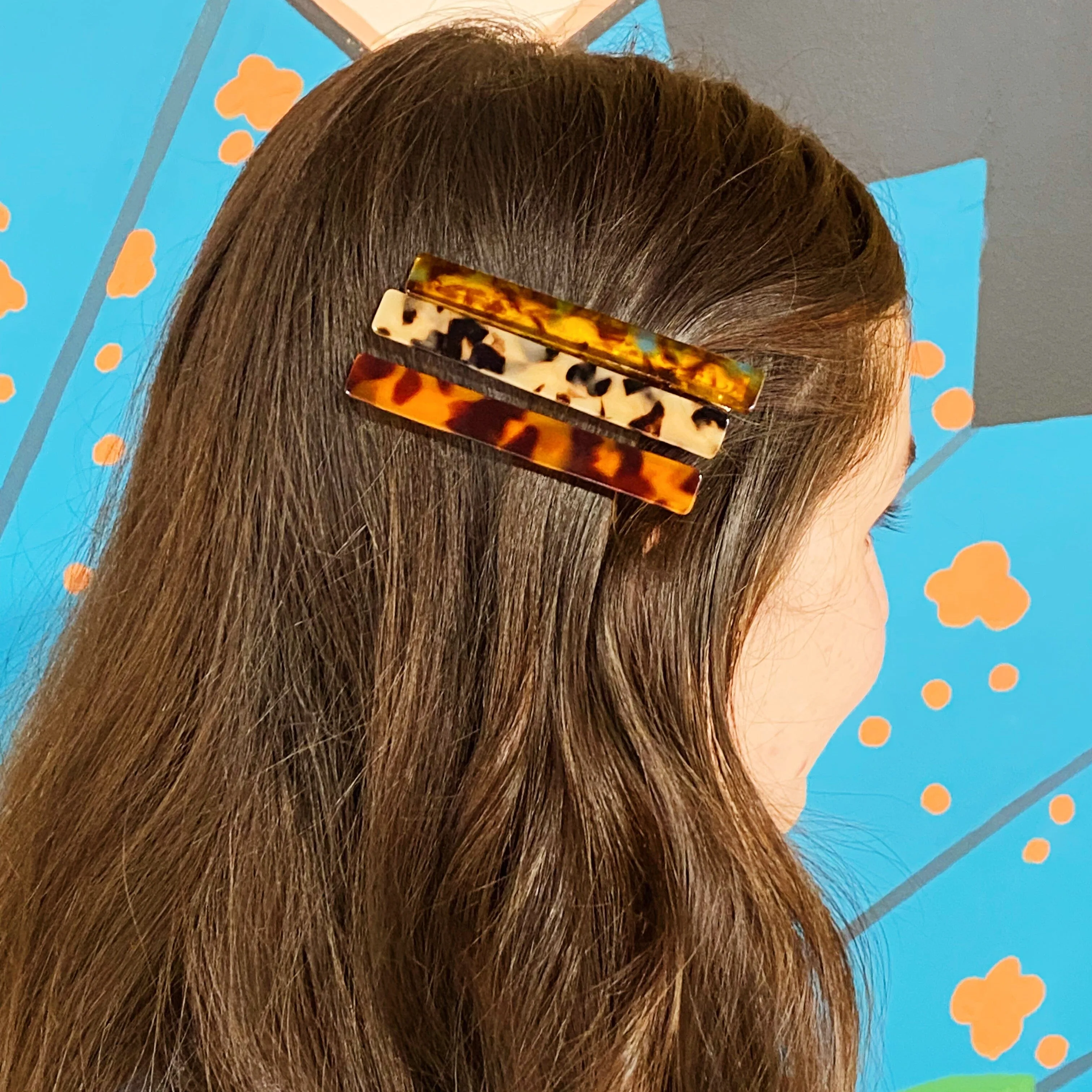 Slim Tortoise Hair Clip Set